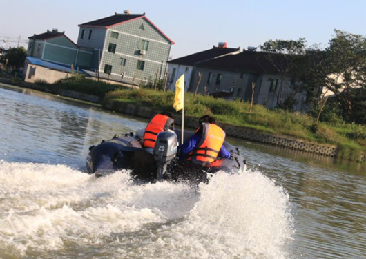 ALLFA CG T20 (20 л.с., 2 такта)